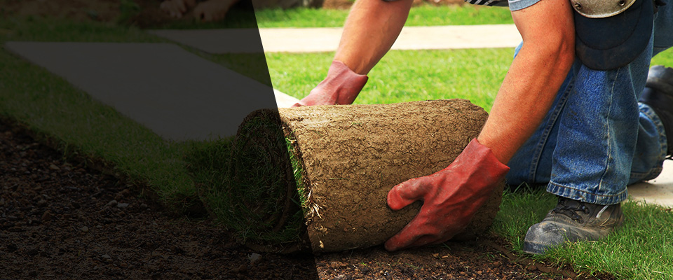 Wray Landscapers